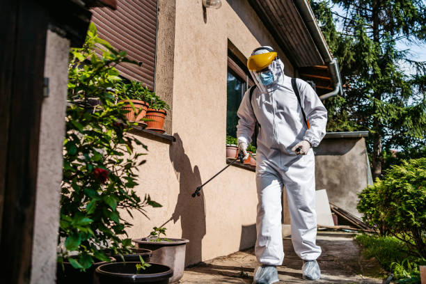 Best Bed Bug Extermination  in Marriott Slaterville, UT