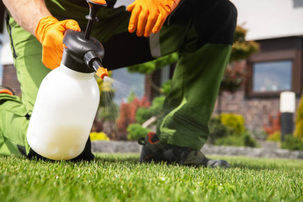 Best Best Pest Control Companies  in Marriott Slaterville, UT