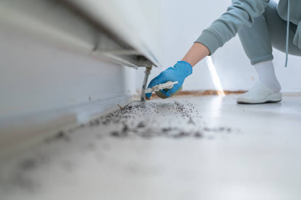 Best Pest Prevention Services  in Marriott Slaterville, UT